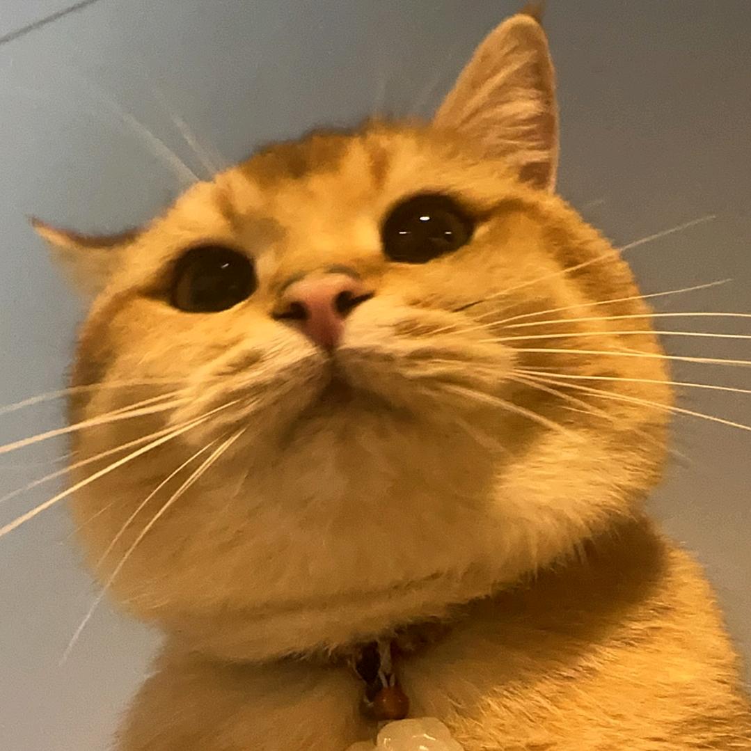 AB兜里有🐈