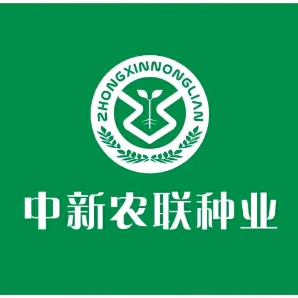 中新农联种业小康