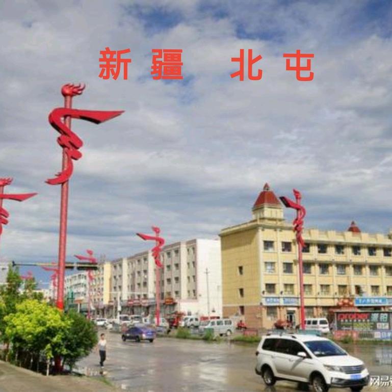 北屯恒毅痣斑王官方号