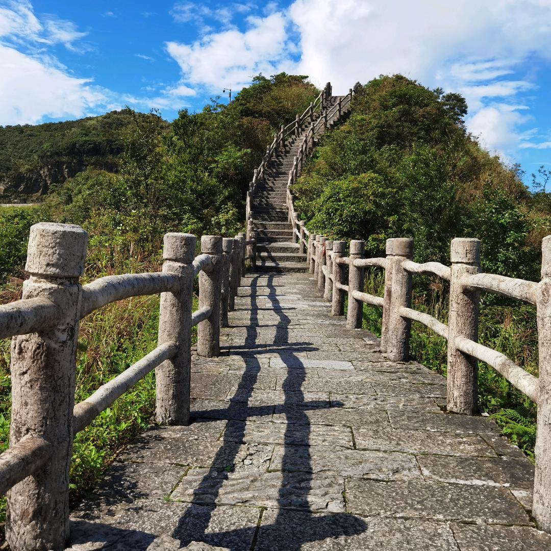 寄一缕阳光