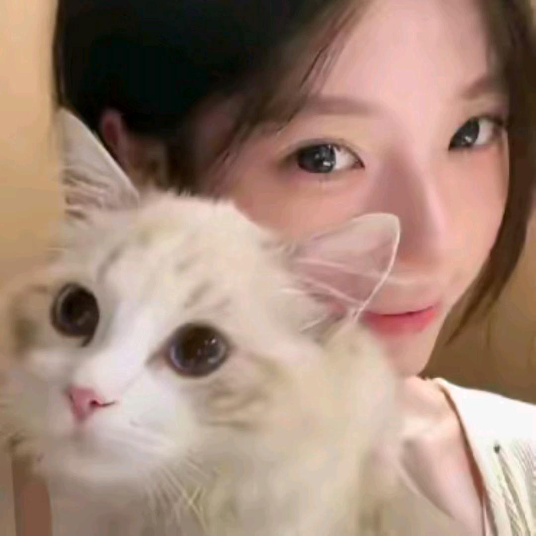 冬