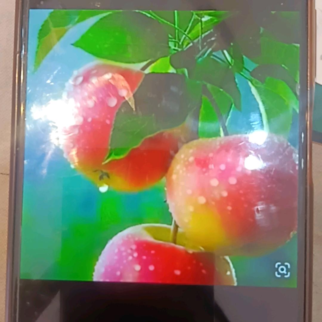云朵♬