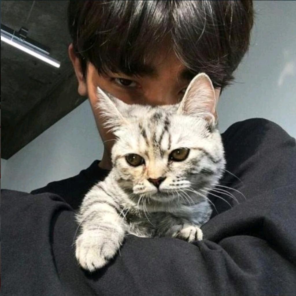 🕊꧔ꦿ᭄嗯哼ѵℯ꧔ꦿ᭄