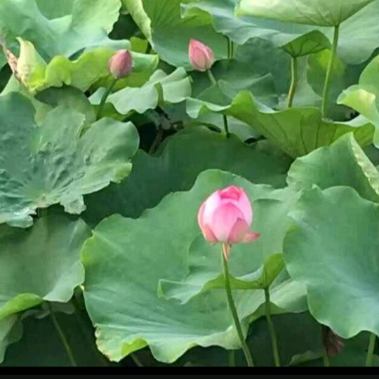 深秋寒意