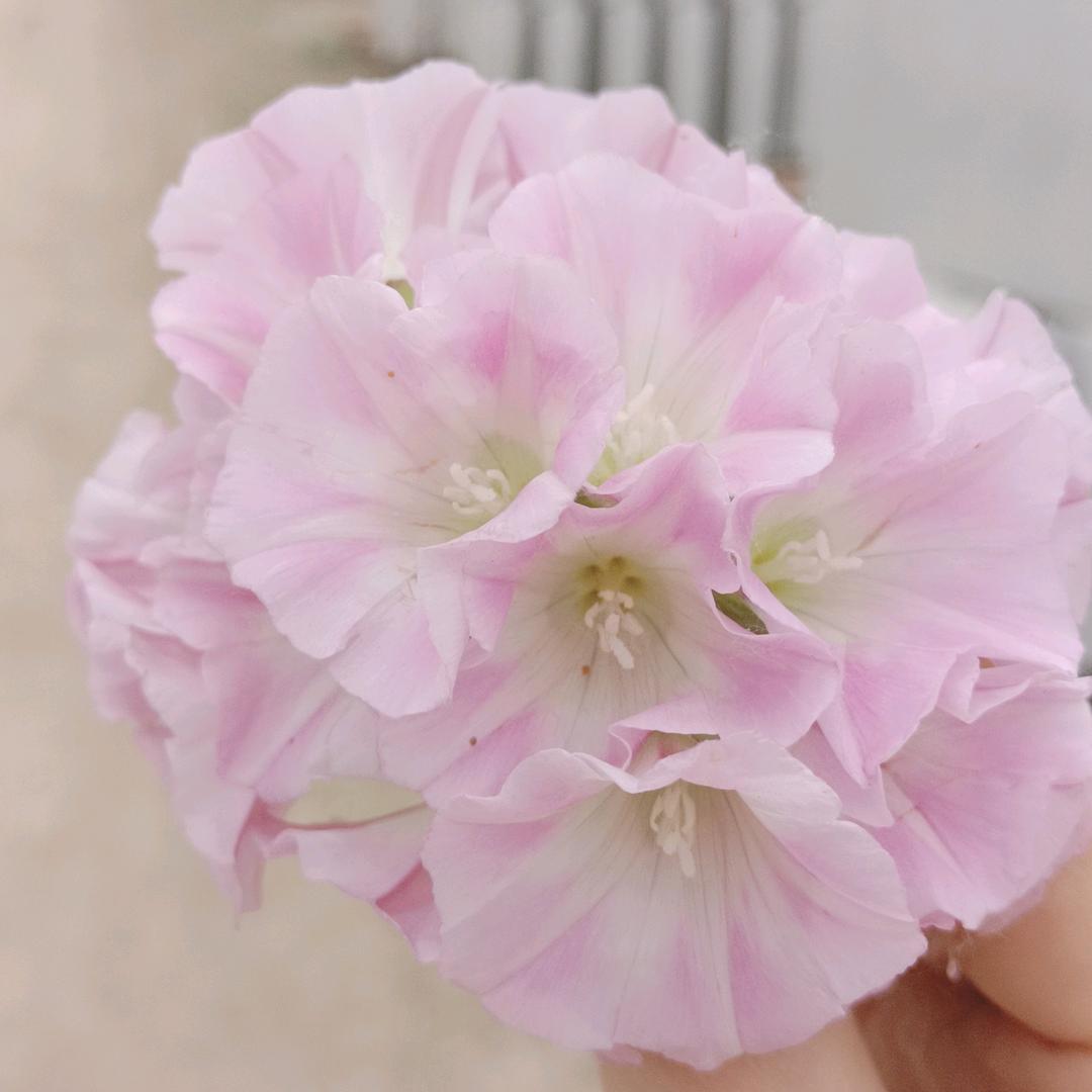 慧选好物