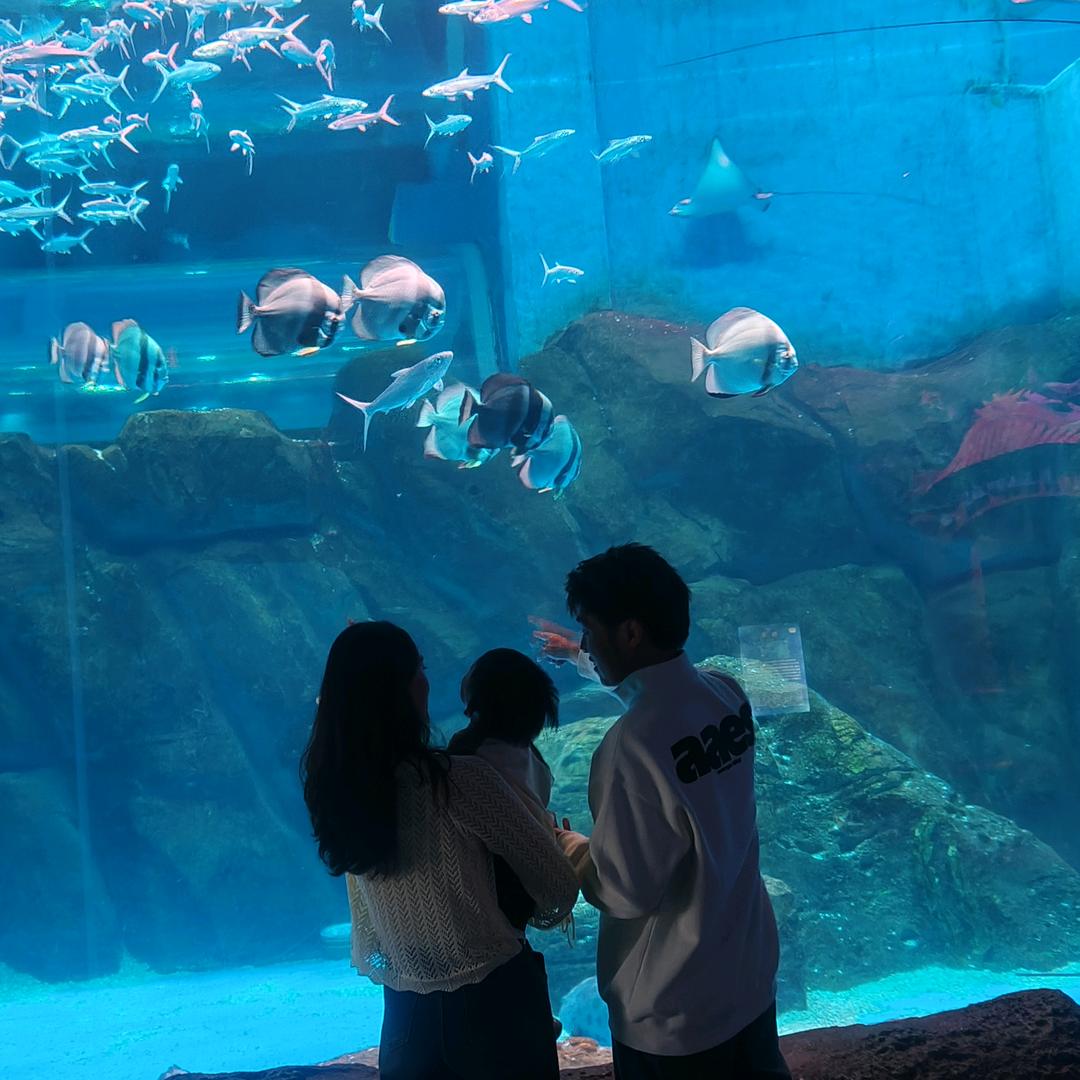 🌈小可乐的蓝莓