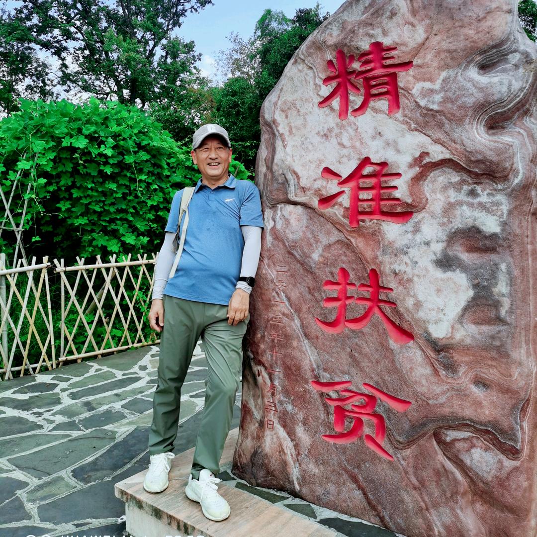 老枫