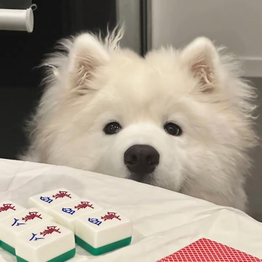 差一点就有玉米拔溜了