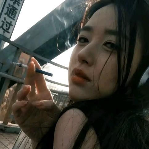 白玫瑰