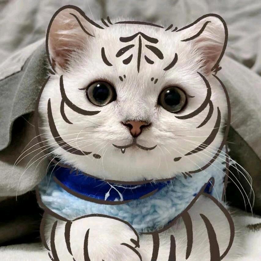 一身痞味儿