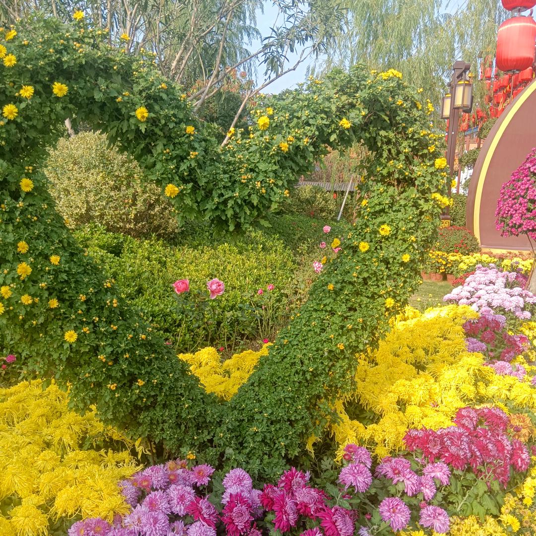 明天会更好