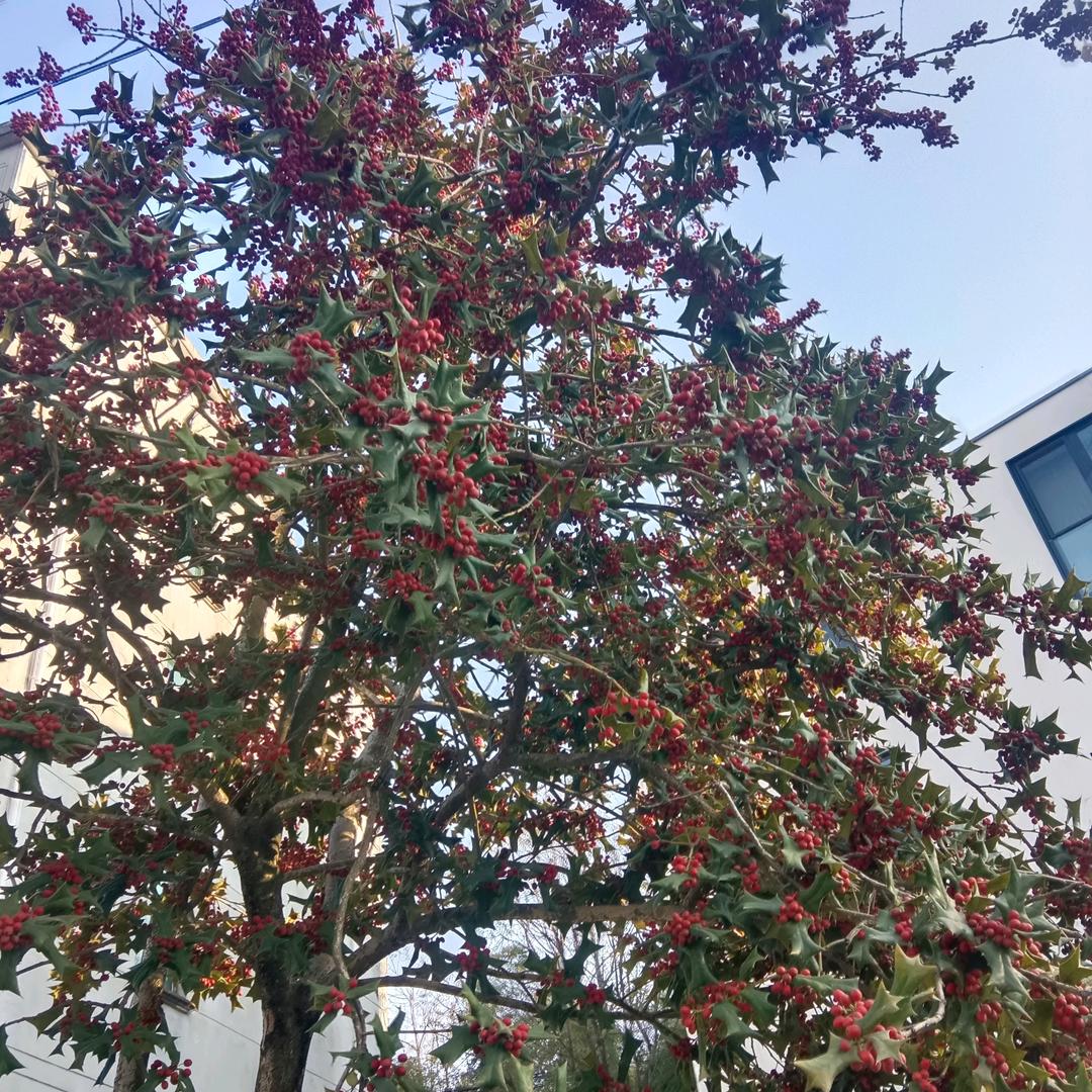 @我爱我家