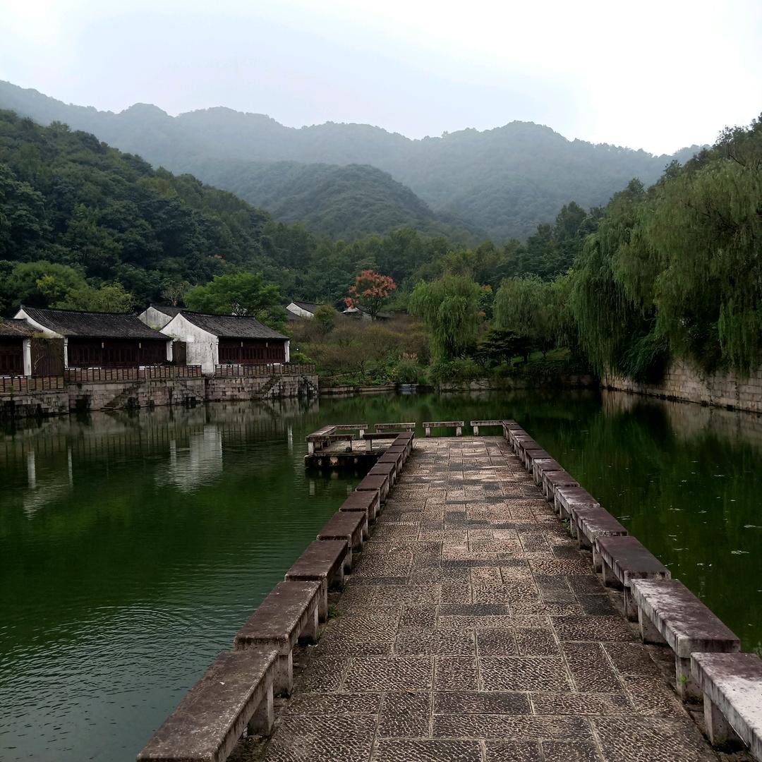 鸣凤朝阳♥