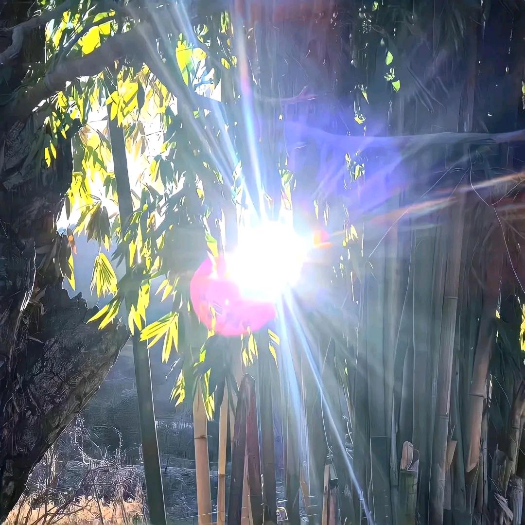 彤❤️