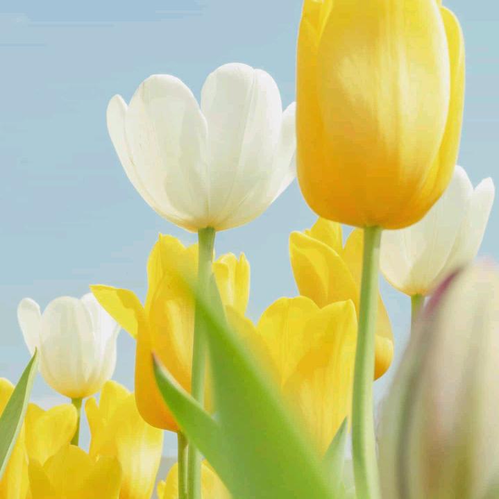 莉丽🌻可🌻私🌹聊