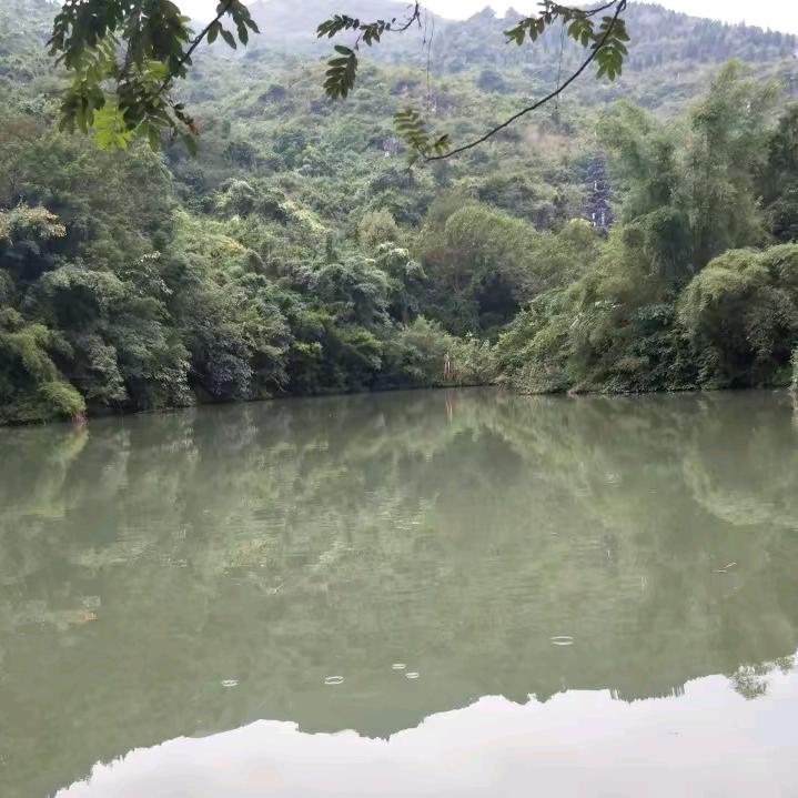 苏醒滴狮子，玺|xx