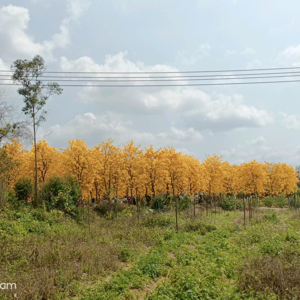 凡人只好贪财好色