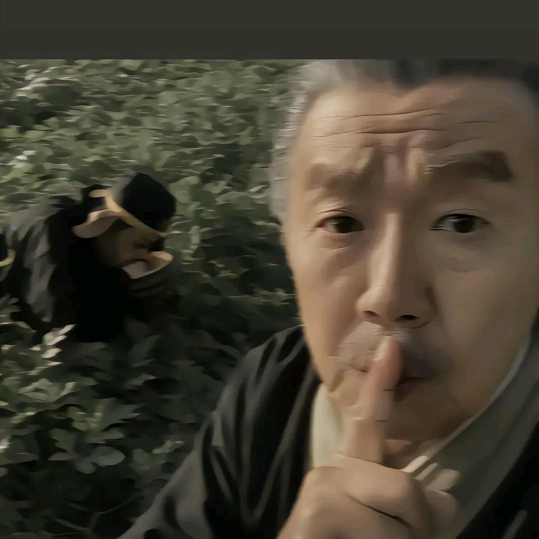 清宋药业-小曾