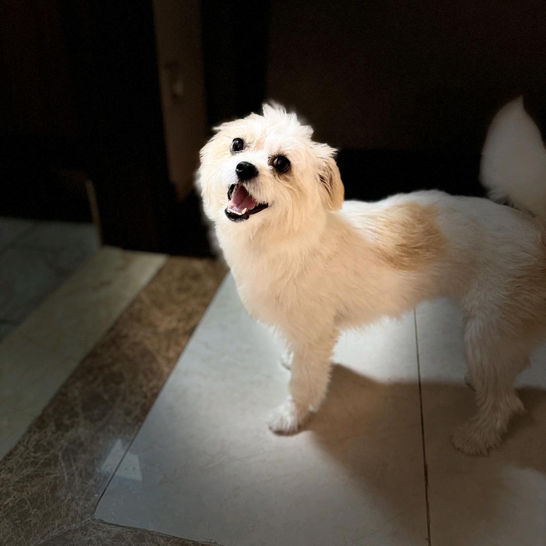 伽境