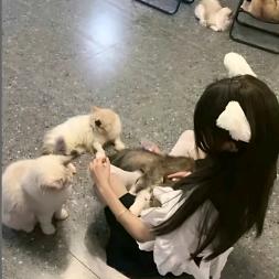 定川页心