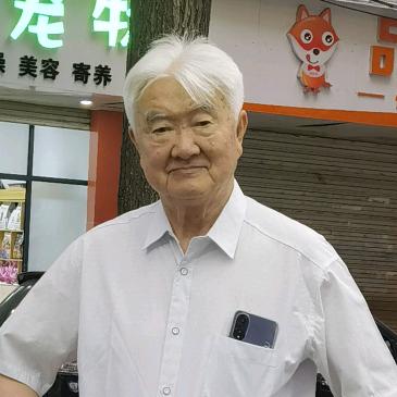 黄文仲茶花