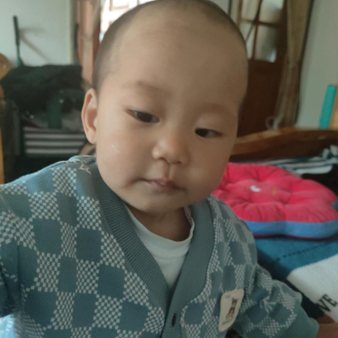 向日葵，
