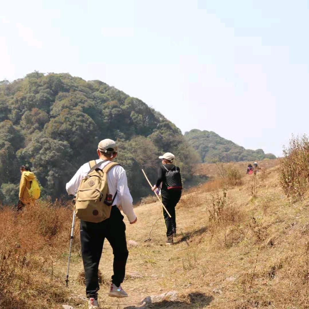 用户3564010913230光明之子