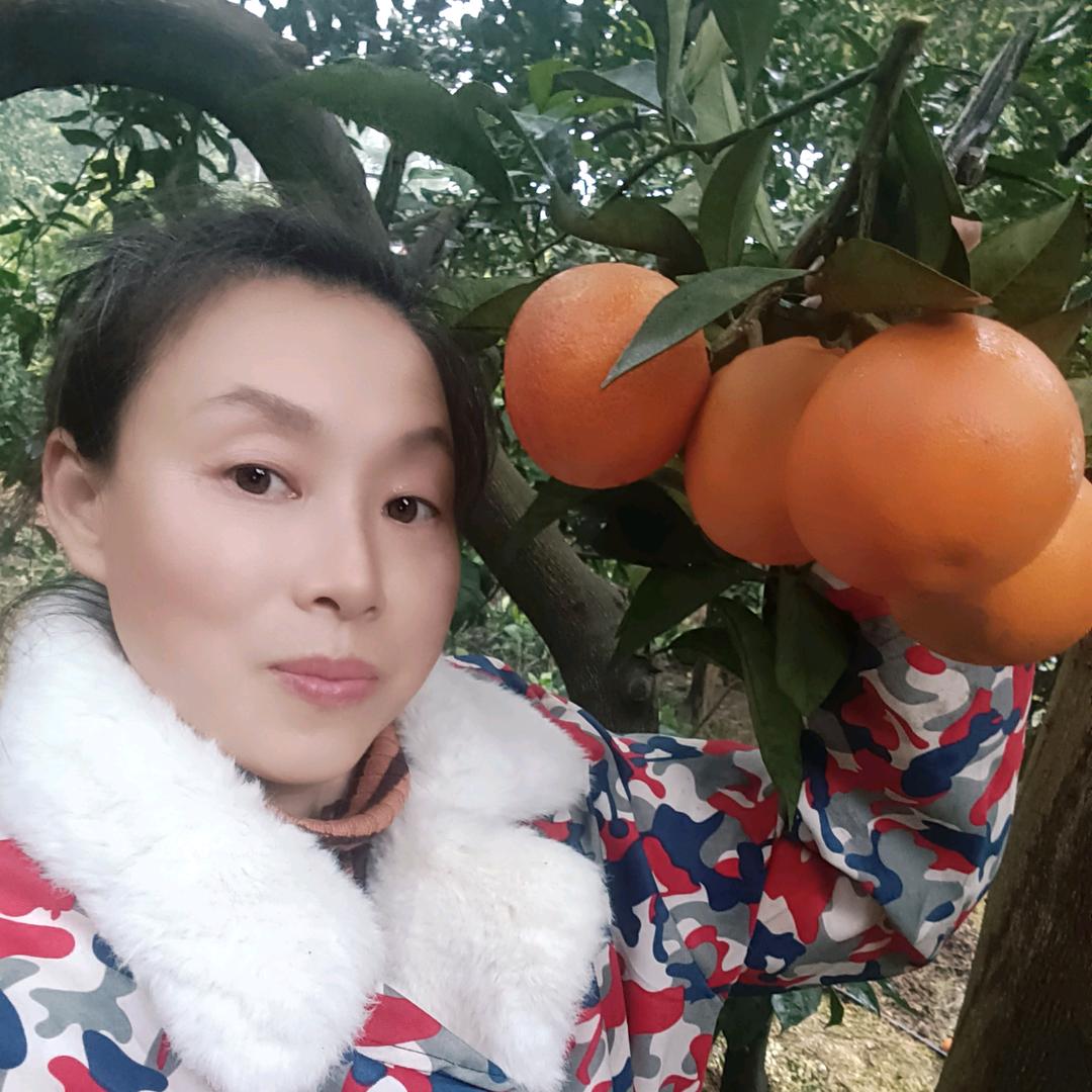 凤林鲜果