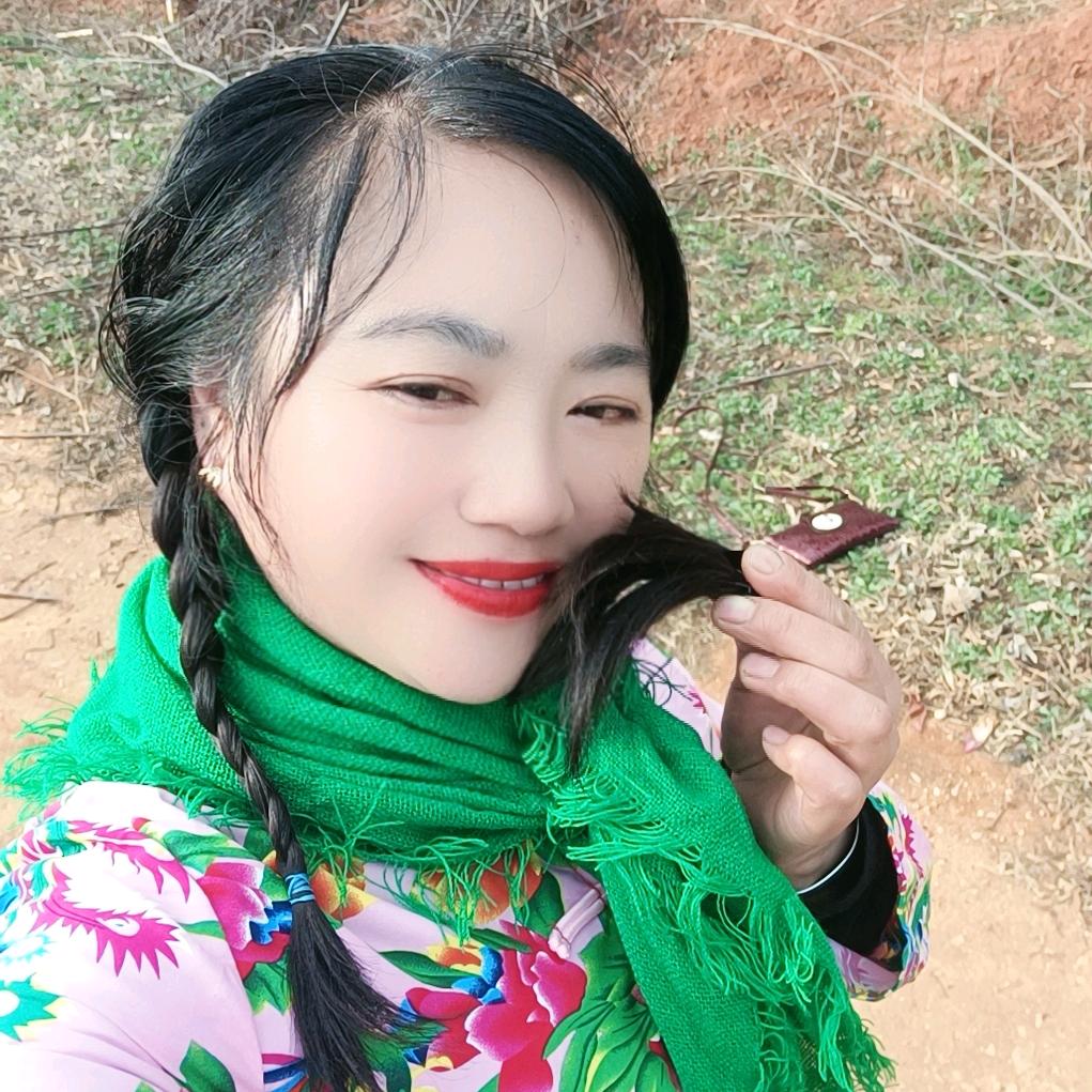 凤