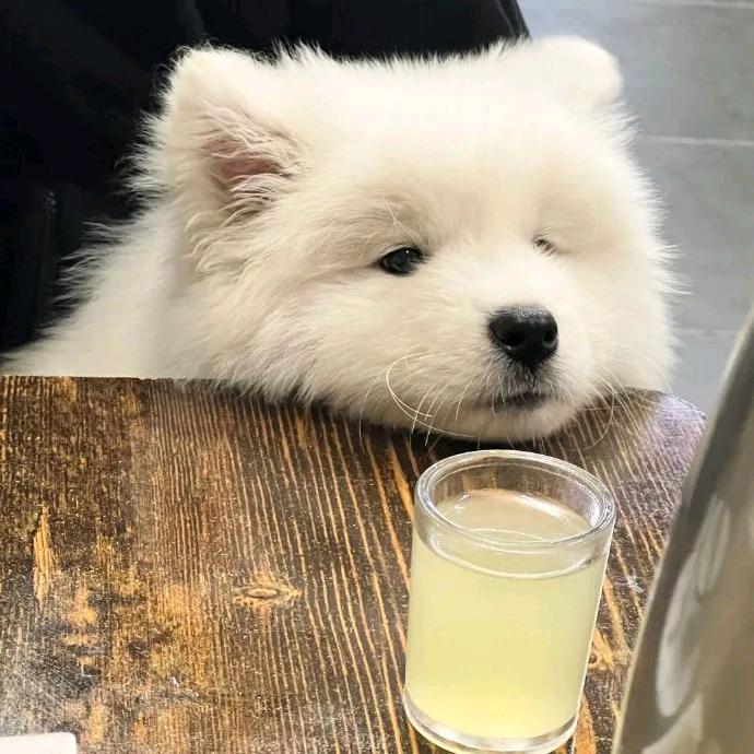 爱喝小甜水的牛马