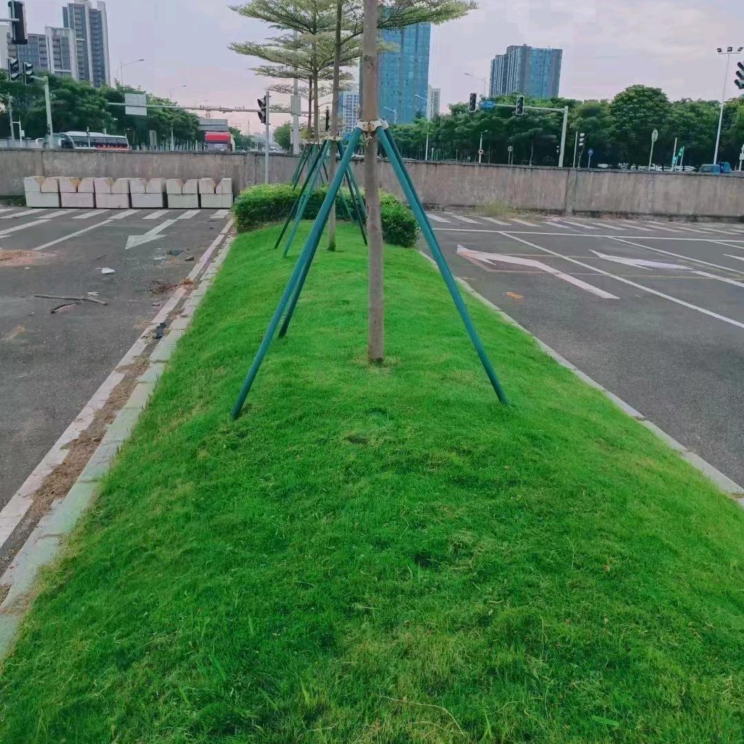 LZL