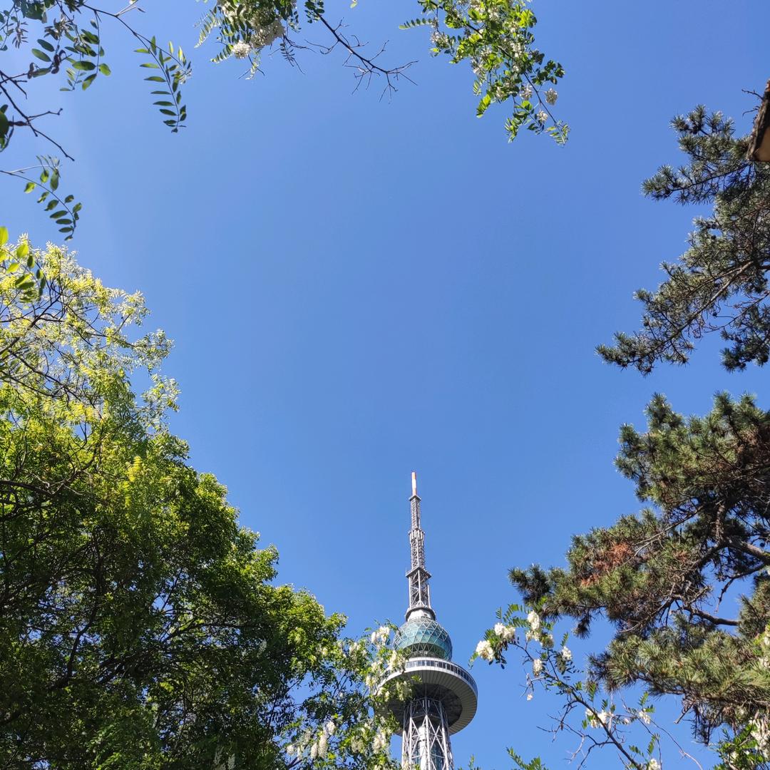 龟龟娇娇