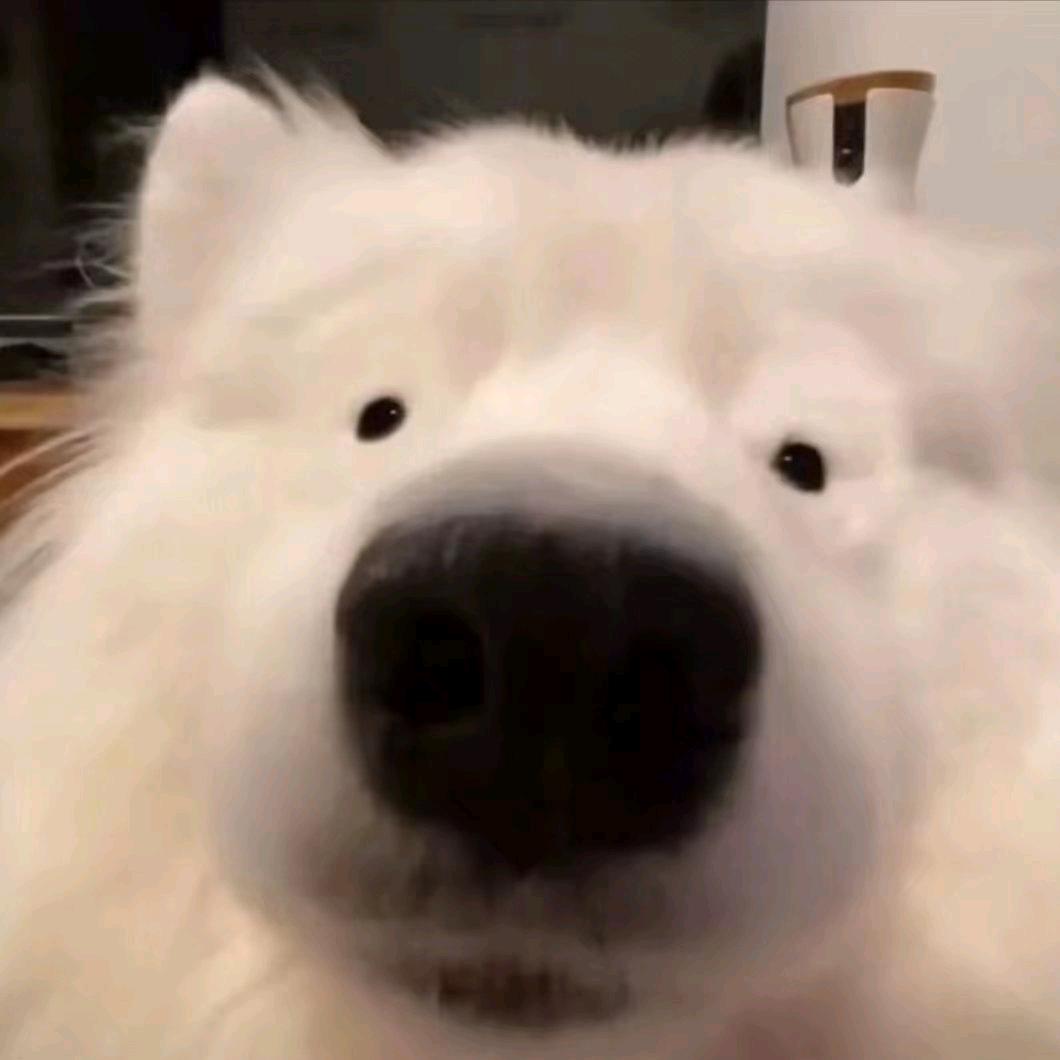 扬