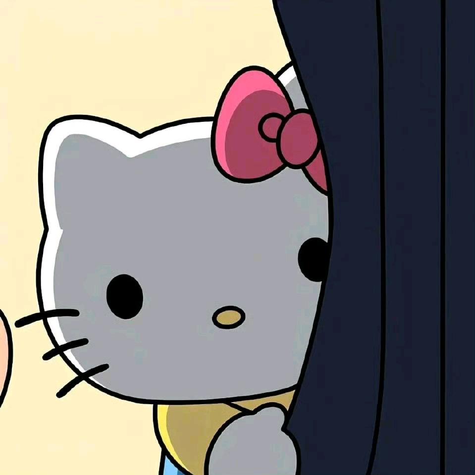 里约热内卢女士