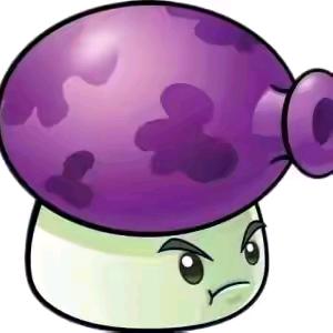 🟣🟣 🟣🟣 🟣