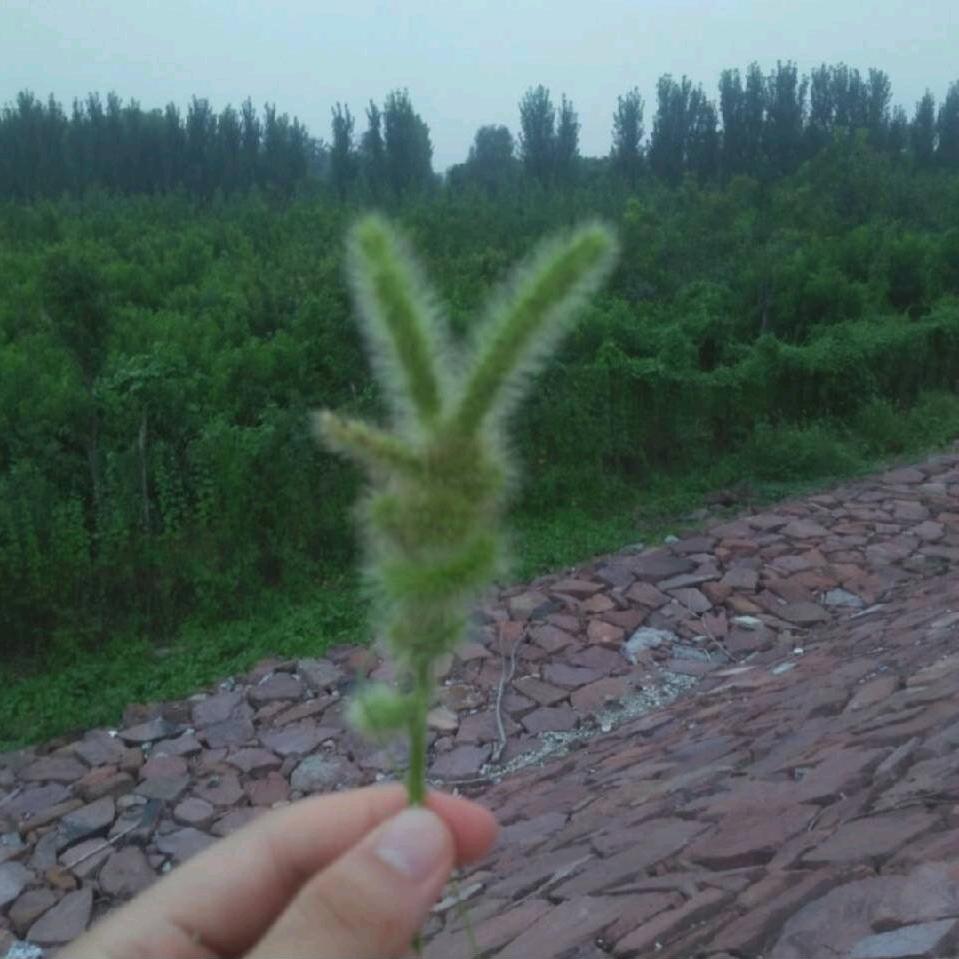 岁月静好！
