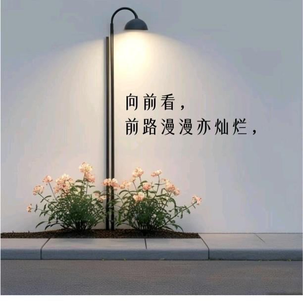 有点小骄傲&