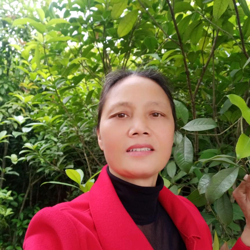 富贵(首播学习中)