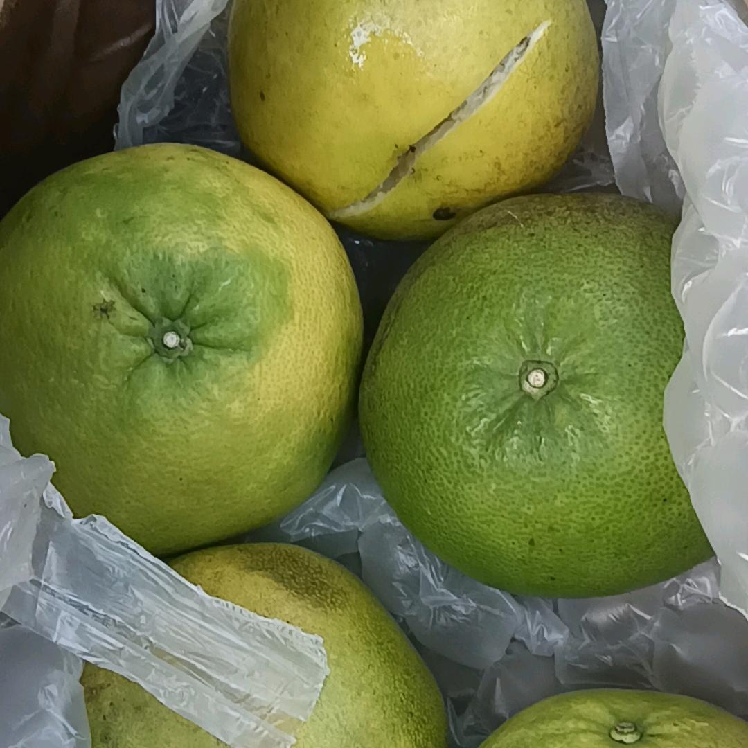 随风儿飘。