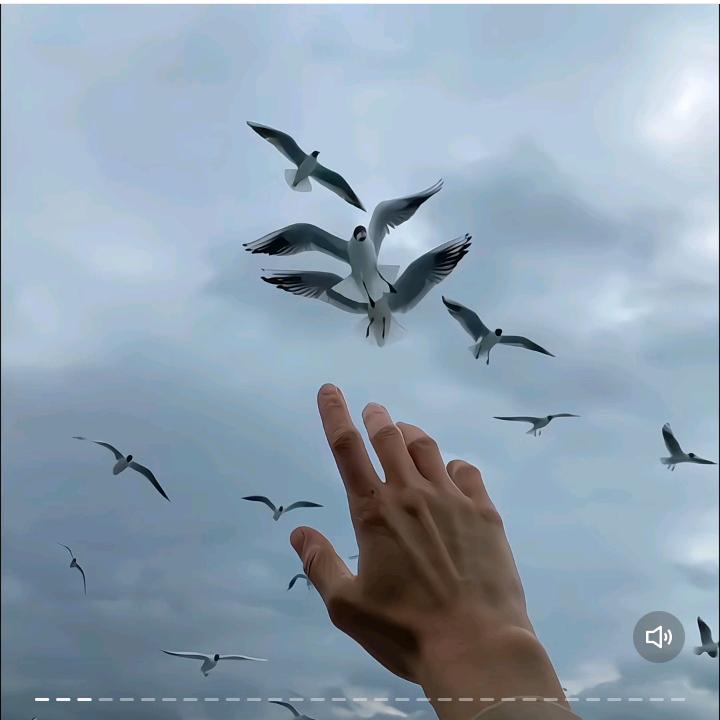 乐翔便利店广州化鲸直播号