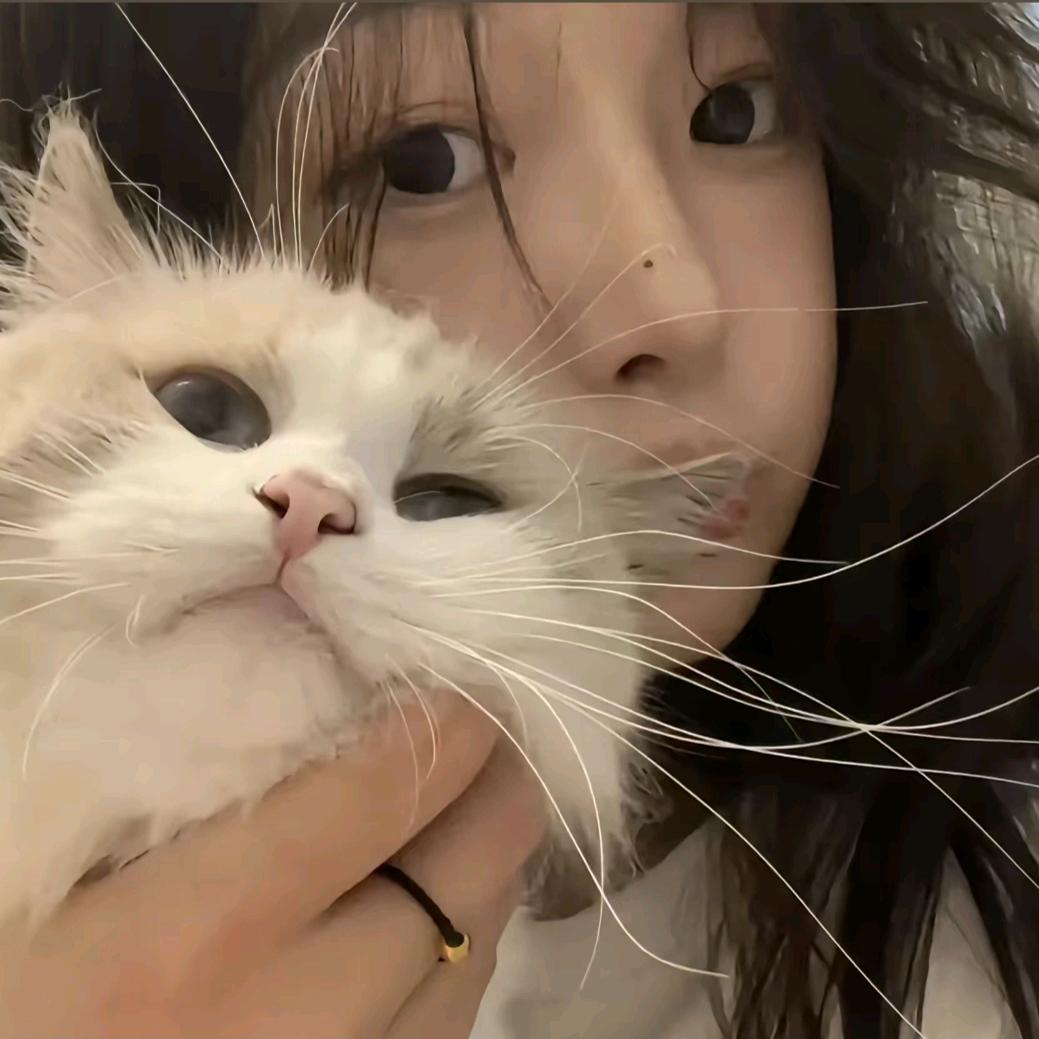 脸¹点也不圆