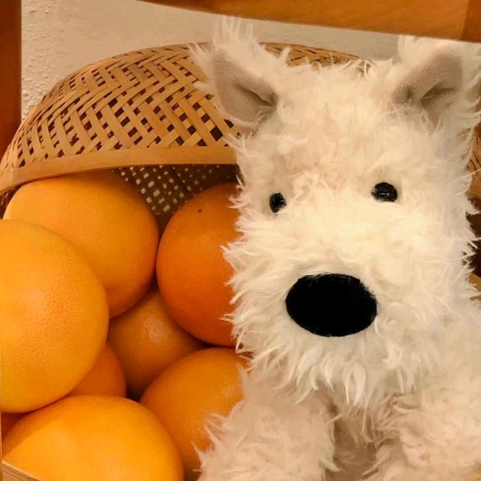 微机员（改拖延症版）