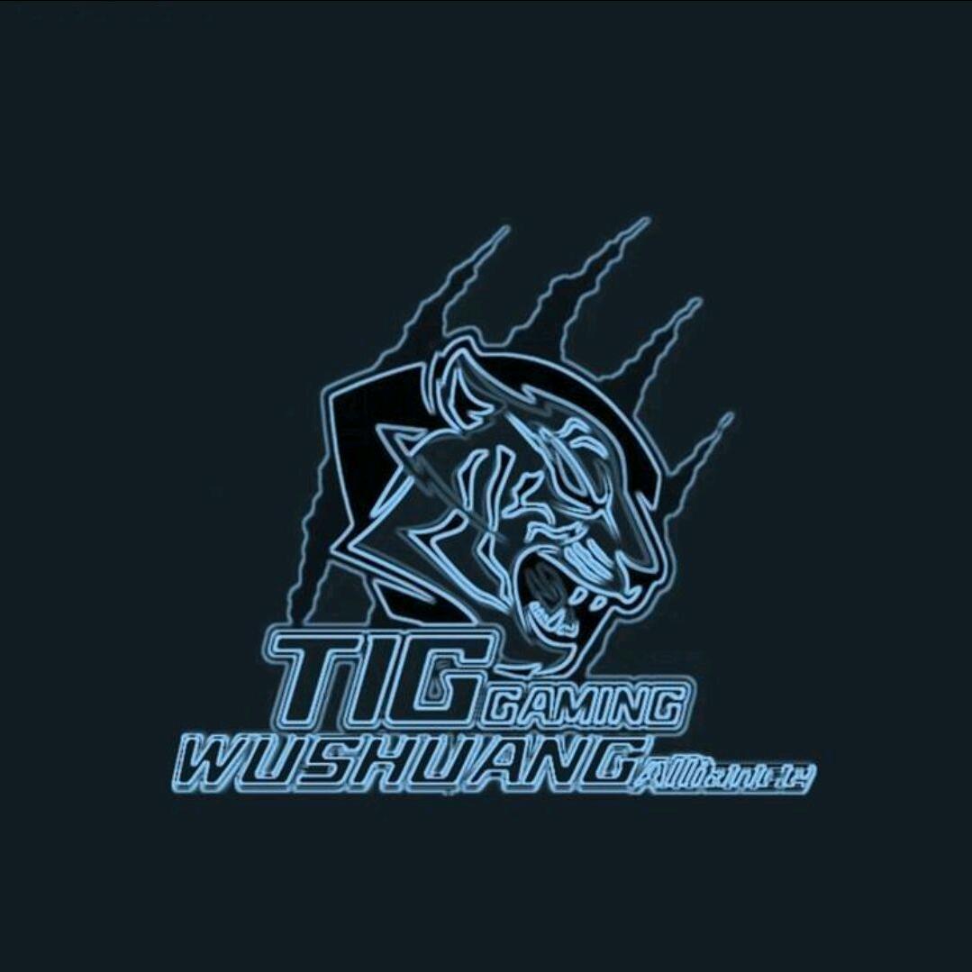 TwistFlex