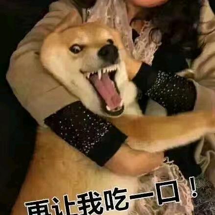 尼克sama
