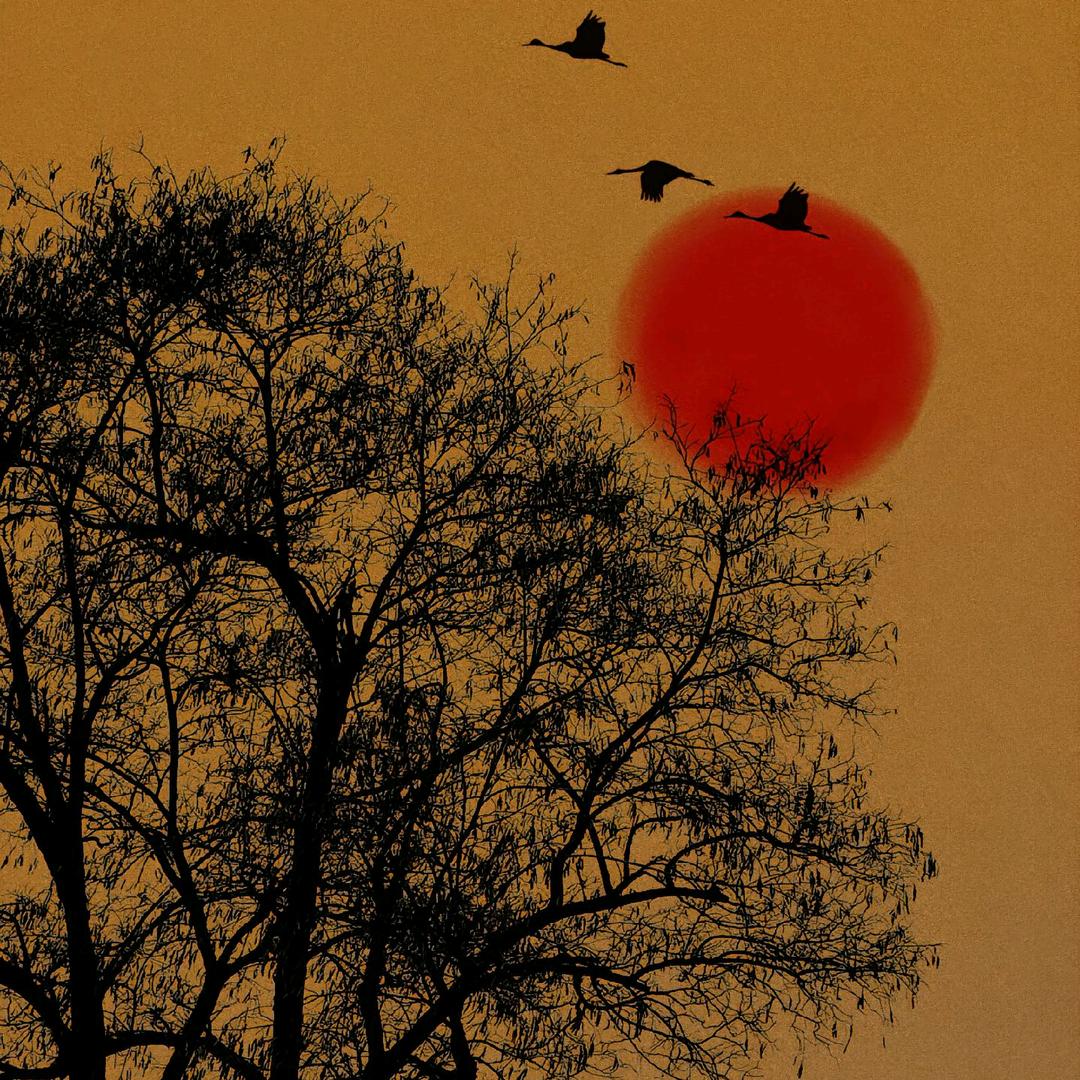 请认真的活完这不一样人生