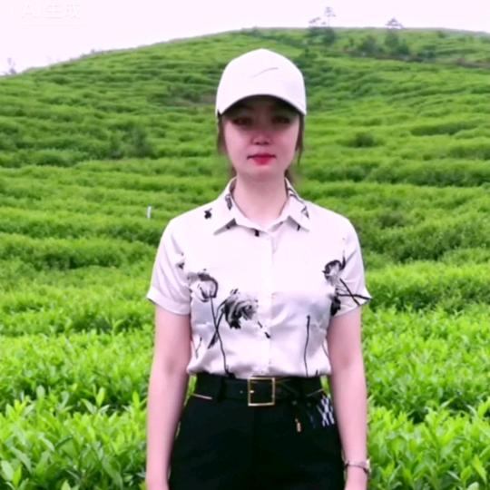 好山好水茶业