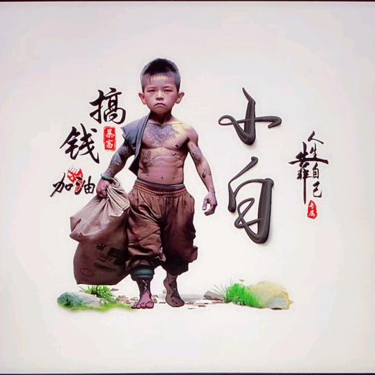 赵家山豆腐小白