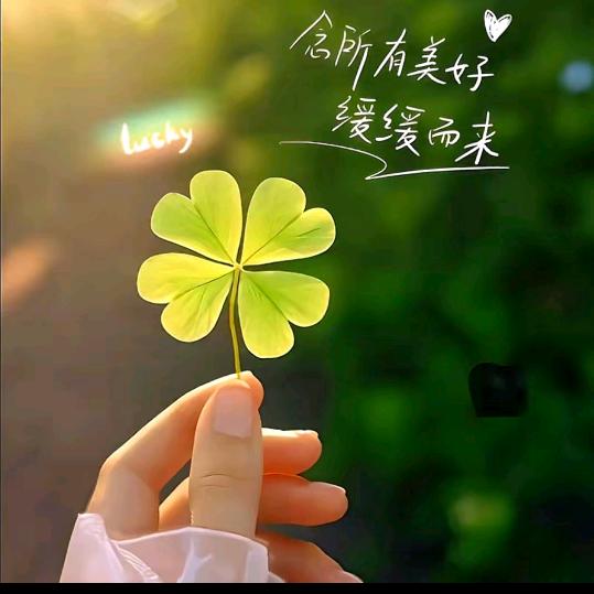 Xys~雨中的伞自己撑