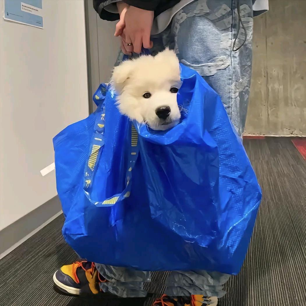 认蒸你就熟了、