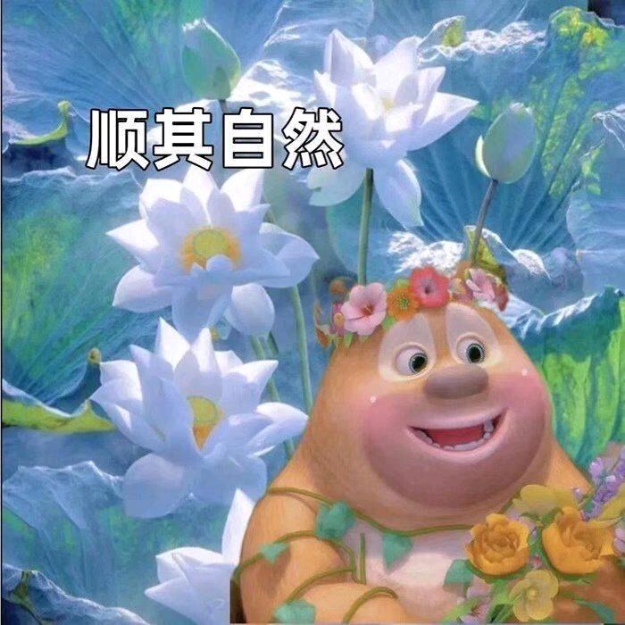 只熊（不吃近地导弹）